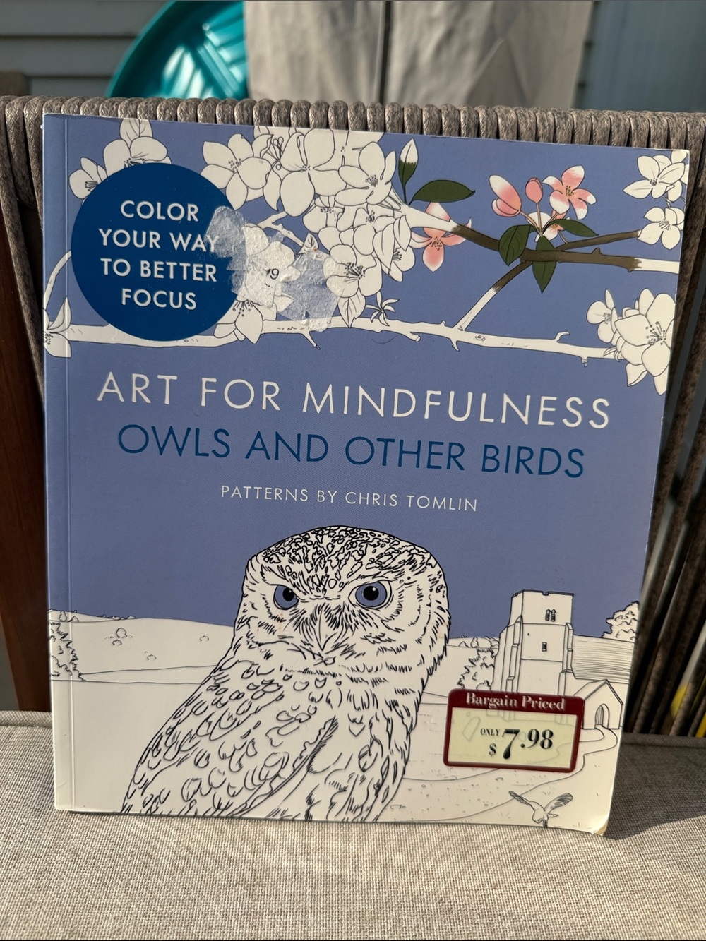 Art for Mindfulness: Owls and Other Birds Coloring Book - Blue